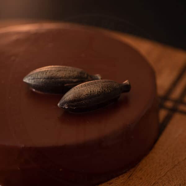 Divinely Dark Truffle Cake